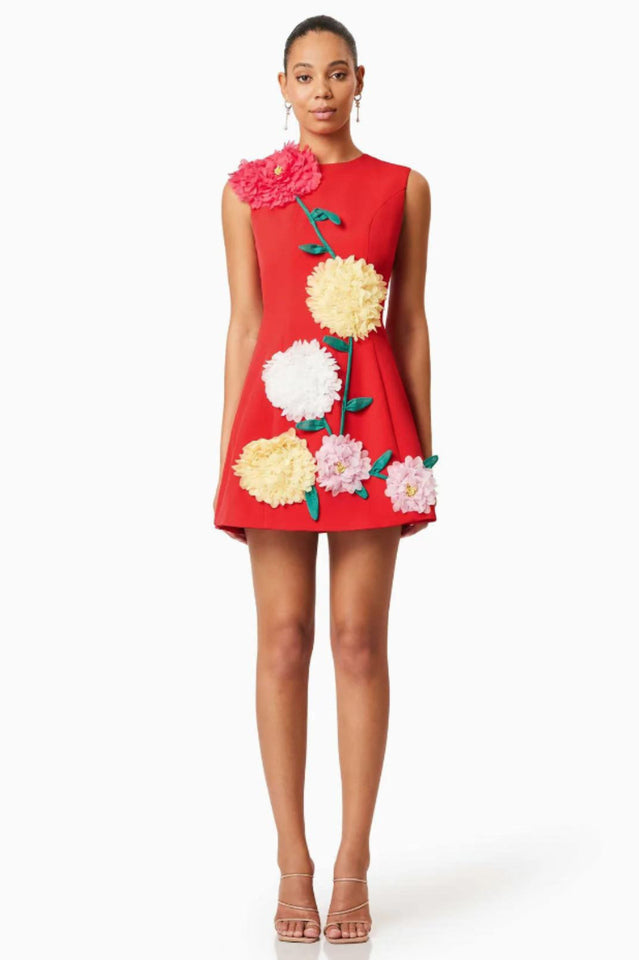 Women's Sibyl Floral Applique Sleeveless Mini Dress Red