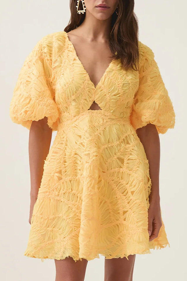 Women's Florential Mini Swing Dress