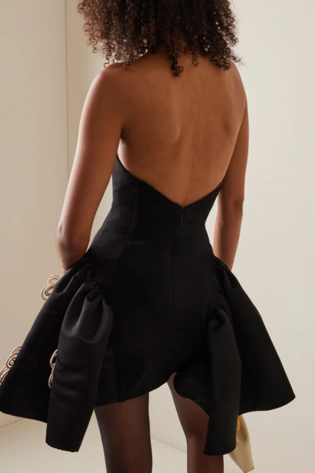 Women's Leona Floral Applique Corset Mini Dress