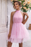 Women's Halter Neck Backless Mesh Dress
