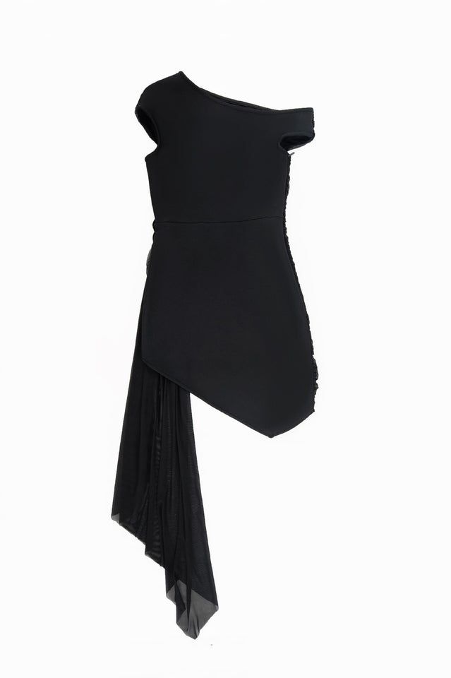 Women's Asymmetric Embroidered Rose Mini Dress