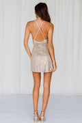 Women's Shimmy Dance Sequin Dress