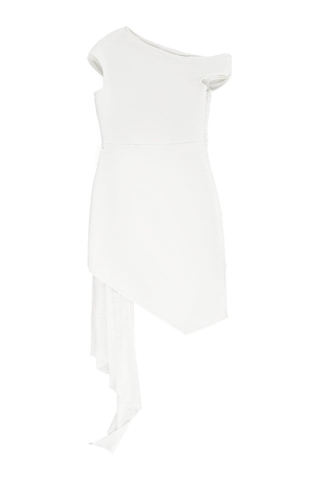 Women's Asymmetric Embroidered Rose Mini Dress