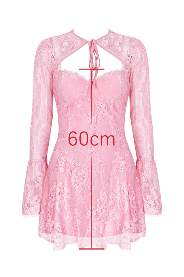 Women's Alice Pink Lace Mini Dress