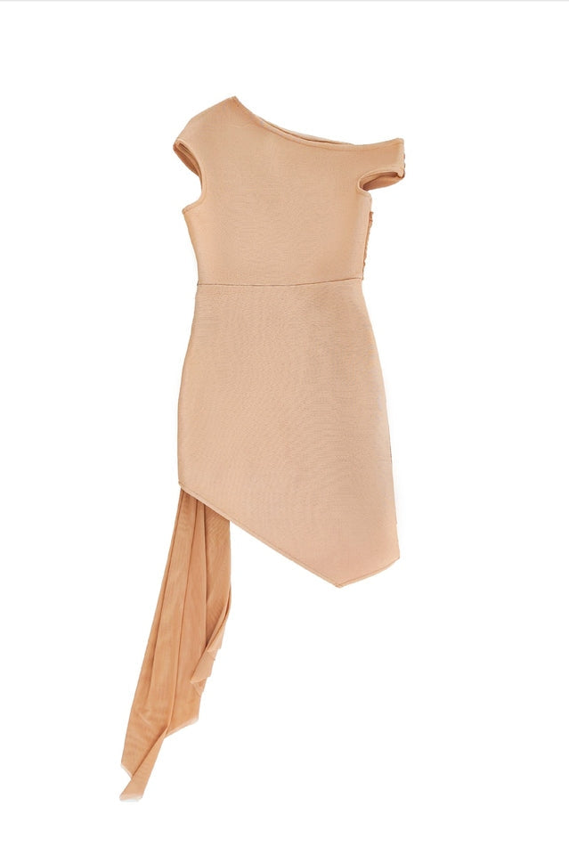 Women's Asymmetric Embroidered Rose Mini Dress