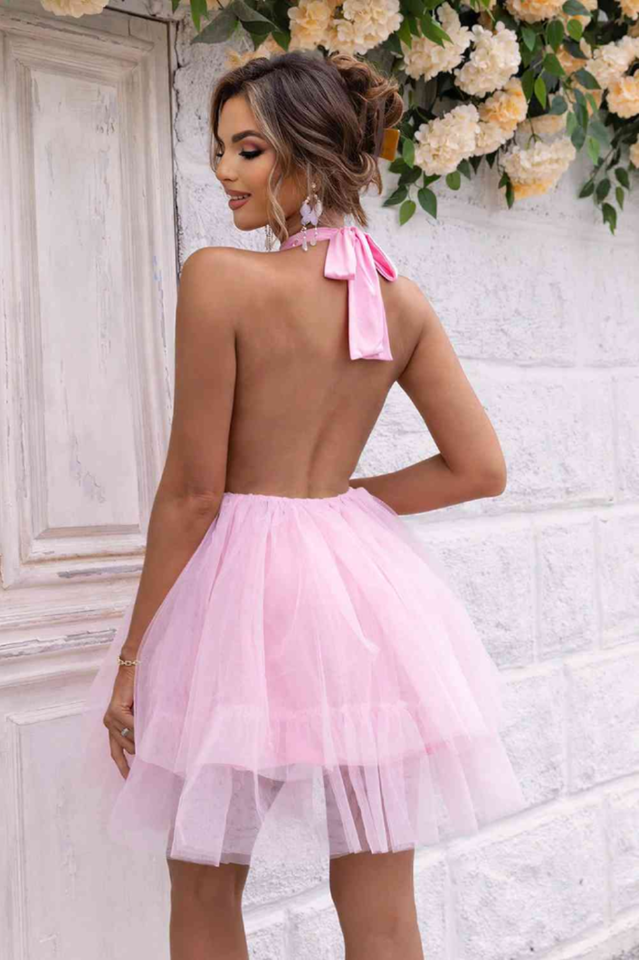 Women's Halter Neck Backless Mesh Dress