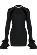 Women's Feather Detail Long Sleeve Crystal Dress Black