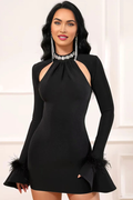Women's Feather Detail Long Sleeve Crystal Dress