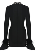 Women's Feather Detail Long Sleeve Crystal Dress