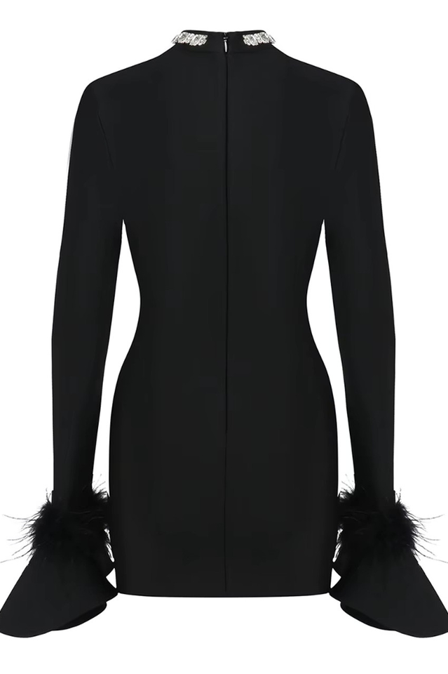 Women's Feather Detail Long Sleeve Crystal Dress