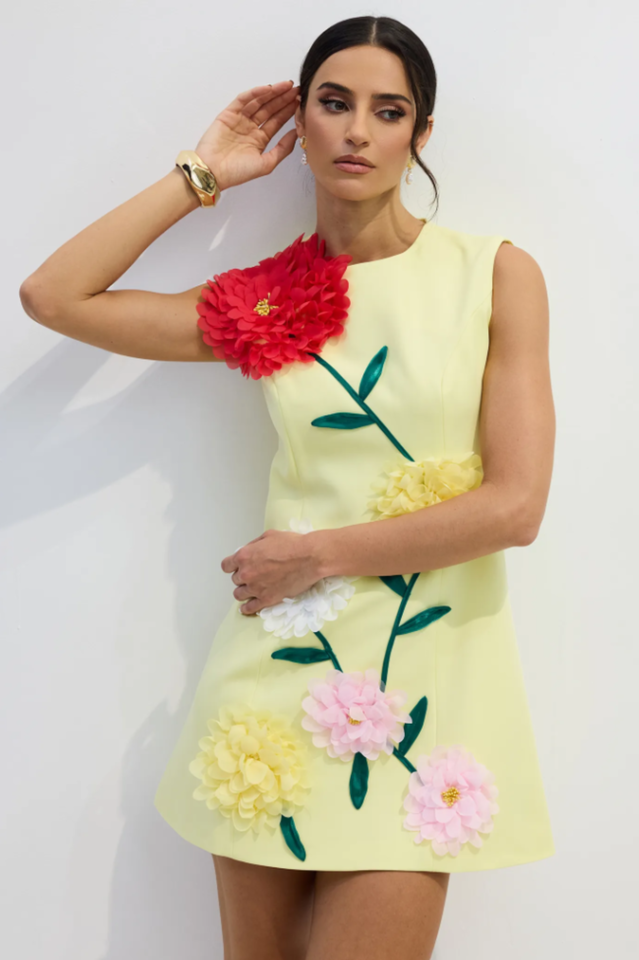 Women's Sibyl Floral Applique Sleeveless Mini Dress