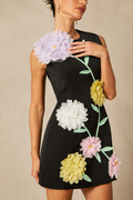 Women's Sibyl Floral Applique Sleeveless Mini Dress